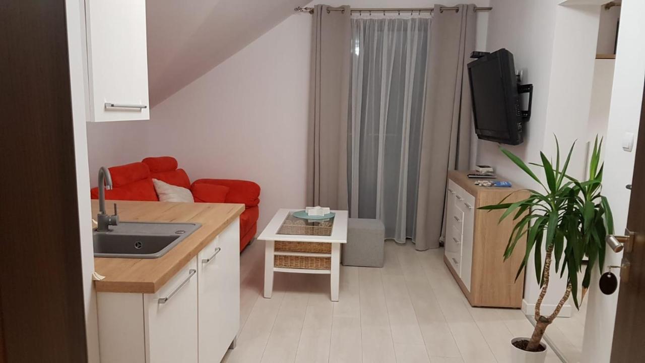 Dziki Zakatek *